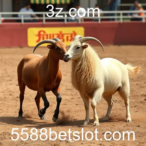 A Controvérsia e Popularidade das Rinchas de Galos e o Fenômeno do 5588 Bet